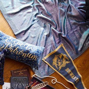 Pottery Barn Blue and Silver Throw Blanket